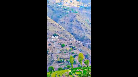 my village