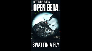 swattin a fly