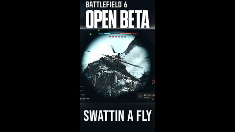 swattin a fly