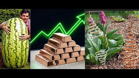 “Electroculture Is Going Mainstream… and Copper Is Disappearing” Just a Coincidence?