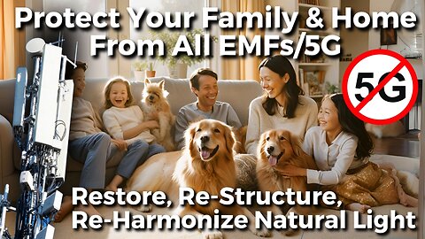 How To Protect Your Family & Environment From ALL EMFs Holistically?