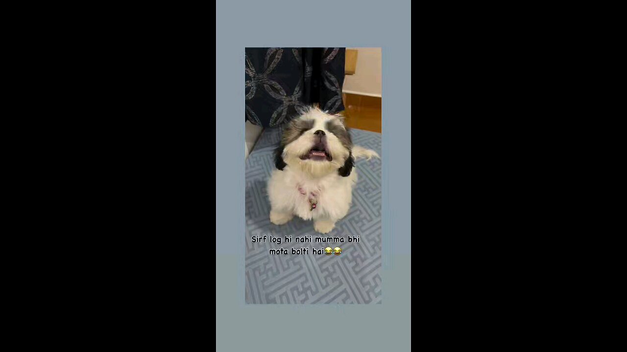 सब कहते है तेरा मुंह मोटा हेगा