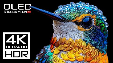 The Coolest Video 4K 120 FPS HDR Dolby Vision - 4K Video ULTRA HD