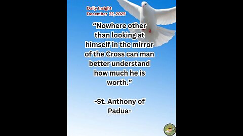 Daily Insight December 22, 2025 #faith #saint #insight