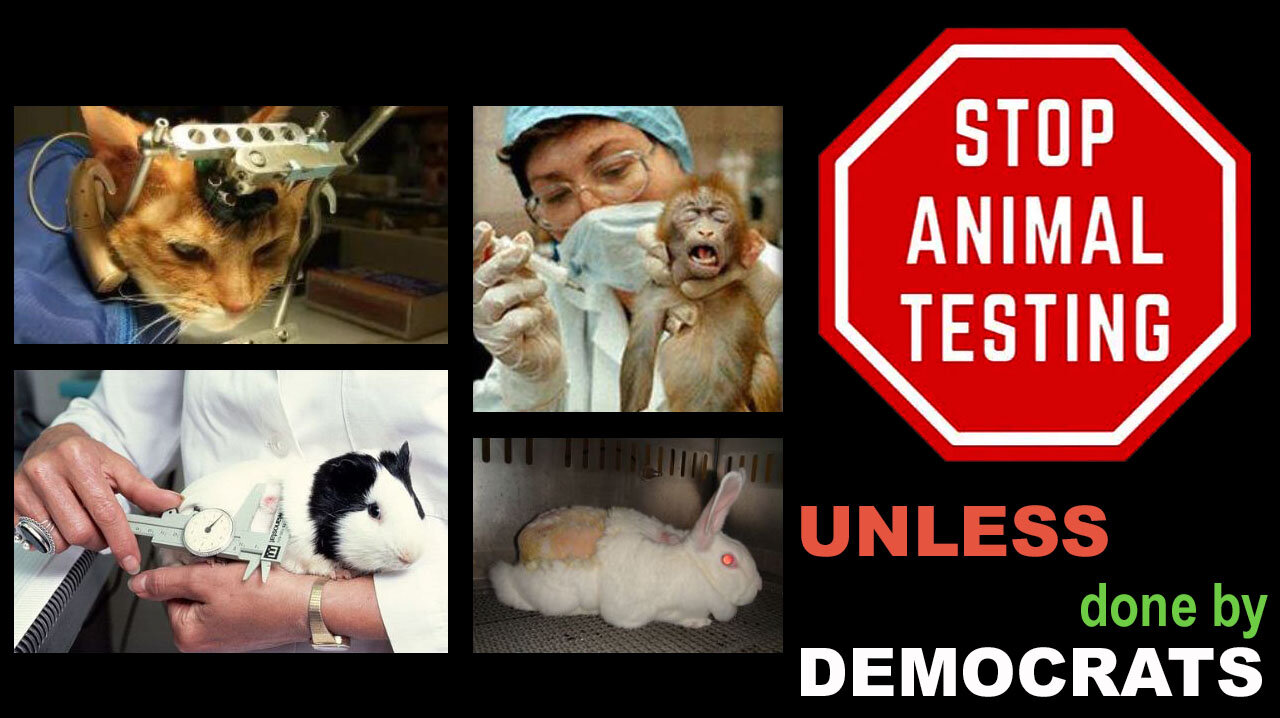 AA_IB_453_Acceptable_Cruelty