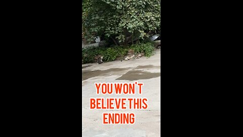 It’s not what it seems…