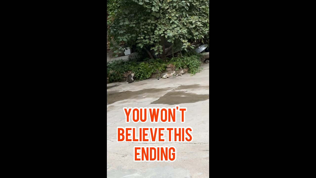 It’s not what it seems…