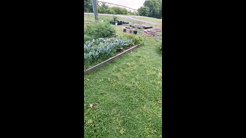 Peppers! 🌶️🌶️