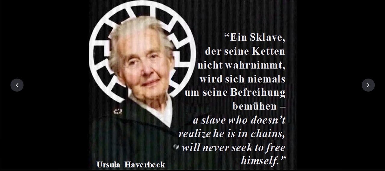 HOLOCAUST NARRATIVE 5: AUSCHWITZ-BIRKENAU - NO GAS CHAMBERS