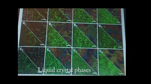 LIQUID CRYSTALS / SHAPESHIFTERS