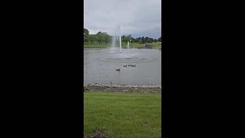 My Peaceful Place - Ask and Ye Shall Receive is BS