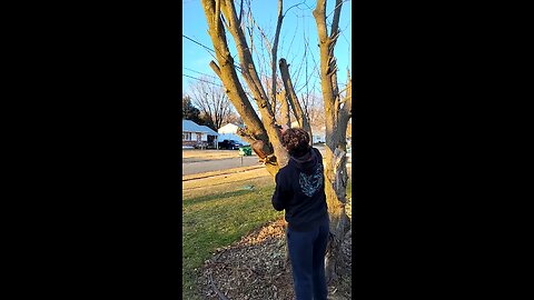 Max pocket chainsaw P2