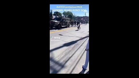 National Guard Robot Dogs have been deployed in Los Angeles for riots