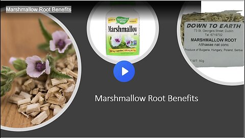 "Unlock Natural Health Boosts: The Incredible Benefits of Marshmallow Root"