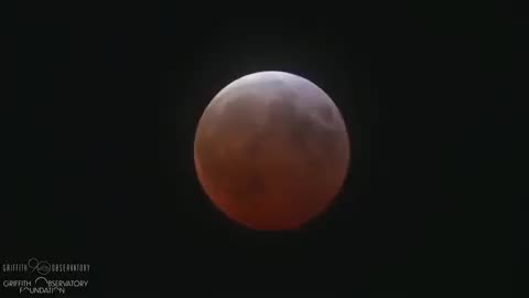 🌕 Moon appeared with a reddish tint over Los Angeles as it passed into Earth's shadow 🌌