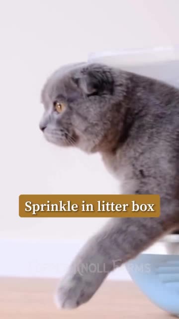 How to use wood ash around your home.