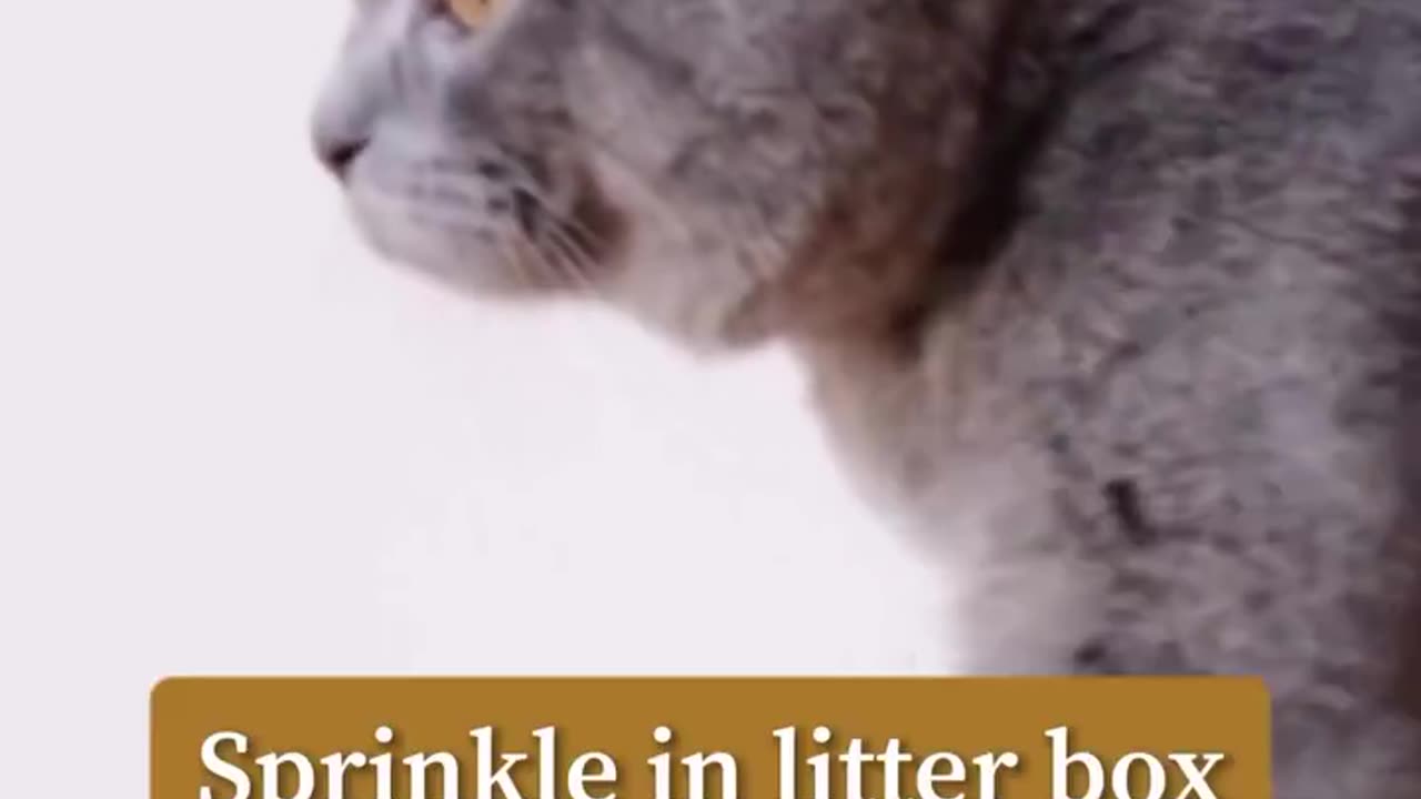 How to use wood ash around your home.