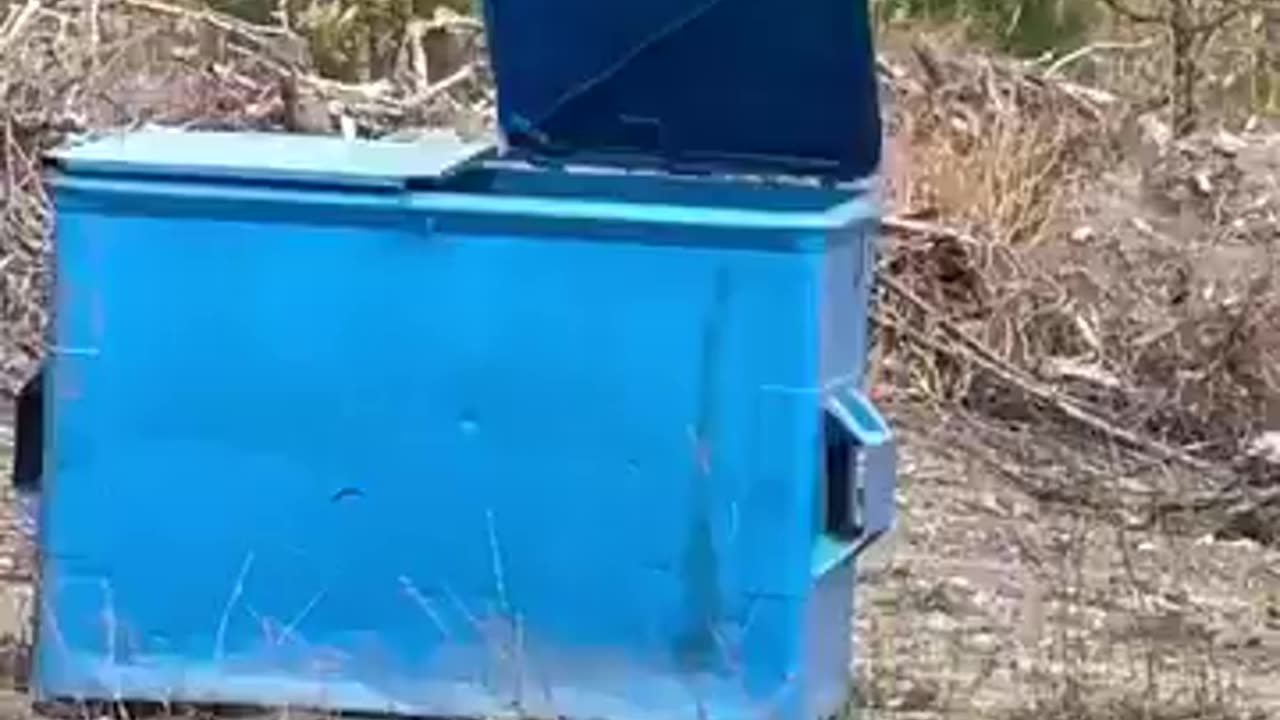 Digging in the so-called toxic big blue garbage bins with no PPE on