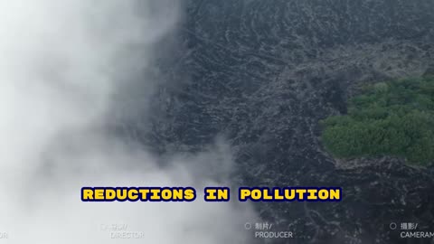 Brain Health in Seniors: How to Protect Memory and Prevent Cognitive Decline