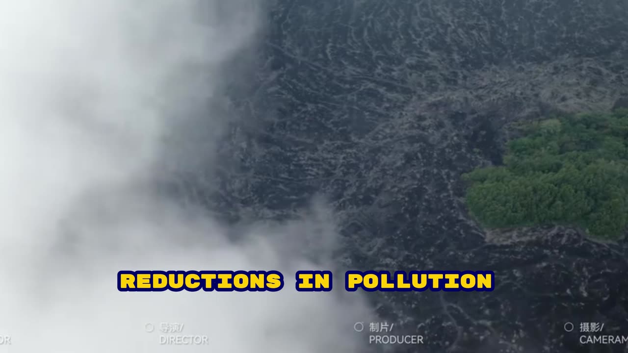 Brain Health in Seniors: How to Protect Memory and Prevent Cognitive Decline