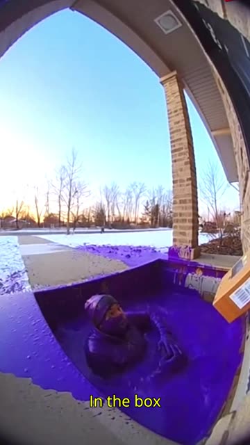 Theft Turns Into a Loud Porch Argument #CaughtonRingCamera #funnyvideo #cctvfootage