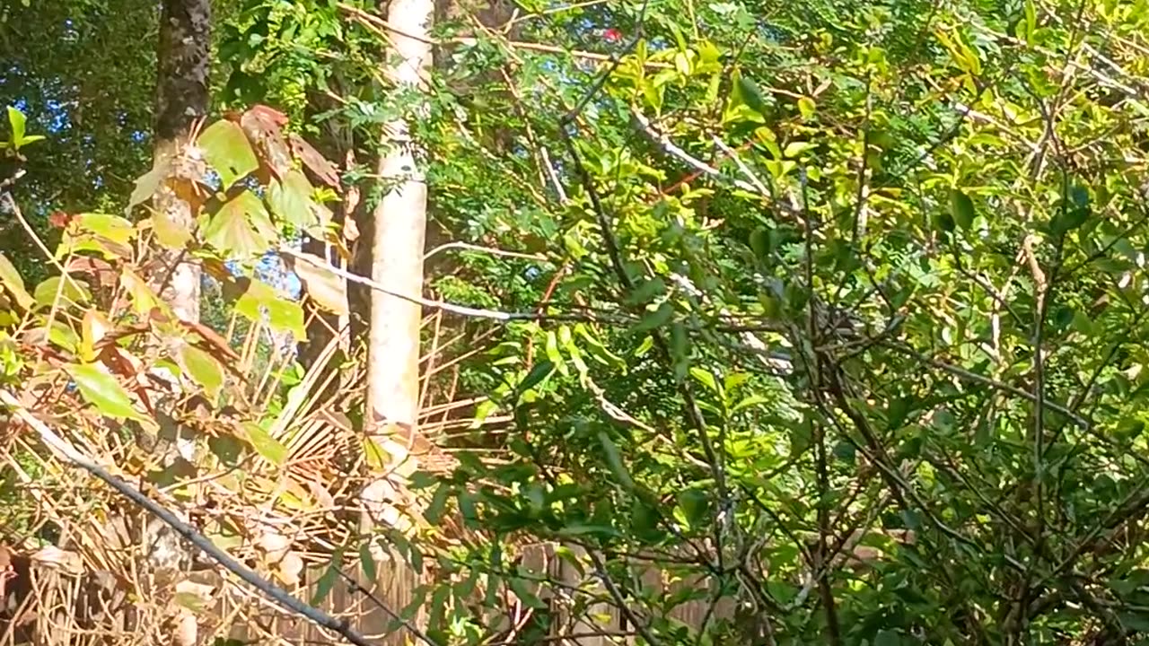 10.9.2025 Goooood Morninnnng Kuraaaaannda