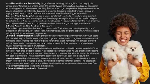 Why Separate Cat & Dog Grooming Zones Matter in a Salon- The Pets Workshop