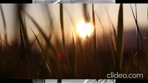 Jinx Da Rebel - Play With A Smile (VIDEO)