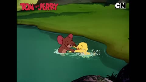 Tom & Jerry 😺🐭| | Chaos Class In Session! 😆| Cat and Mouse