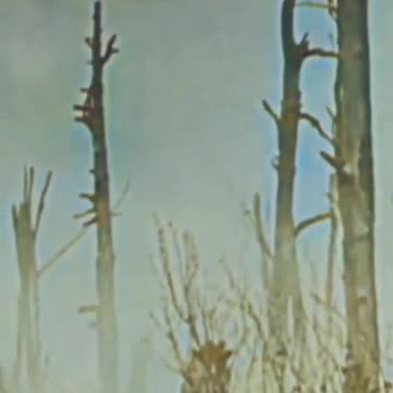 95 ⚔️ In gaming, if the enemy defends, then draw them out