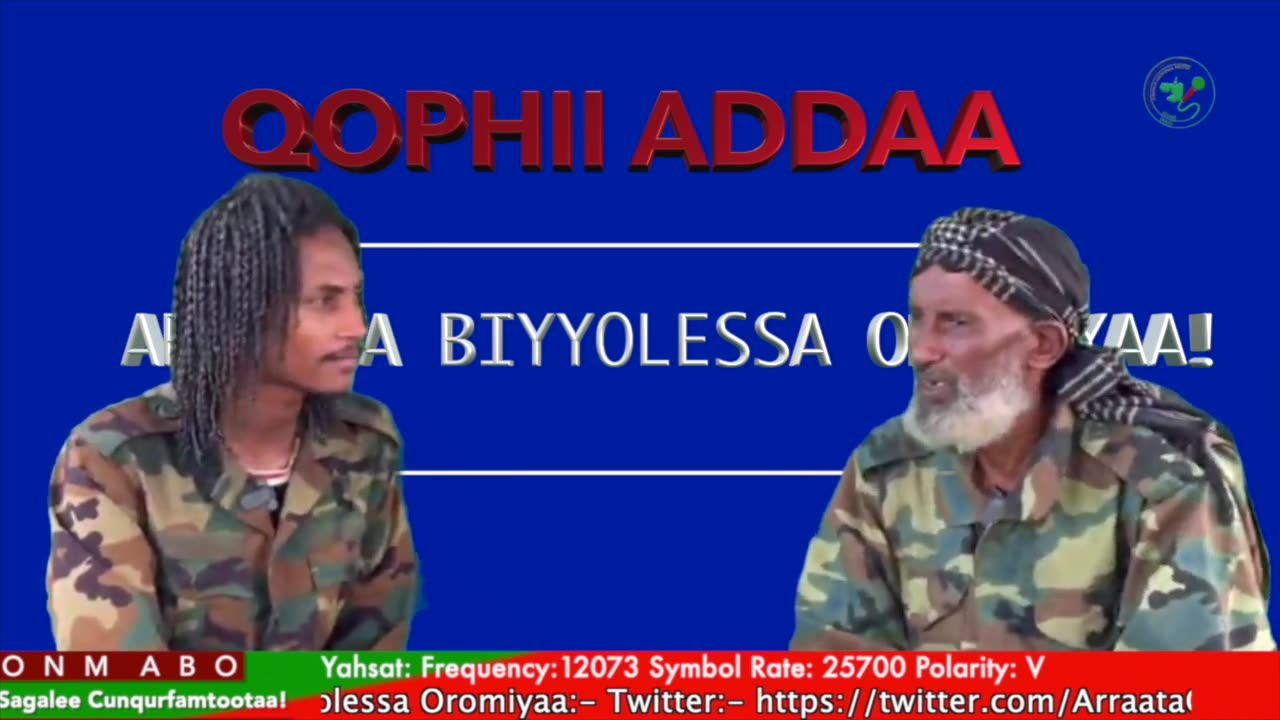 Qophii Addaa ONM-ABO Bitootessa 31-2025 itti dhiyaadhaa!