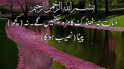 Beshak 💯🙏🏻🙏🏻🤲🤲🤲