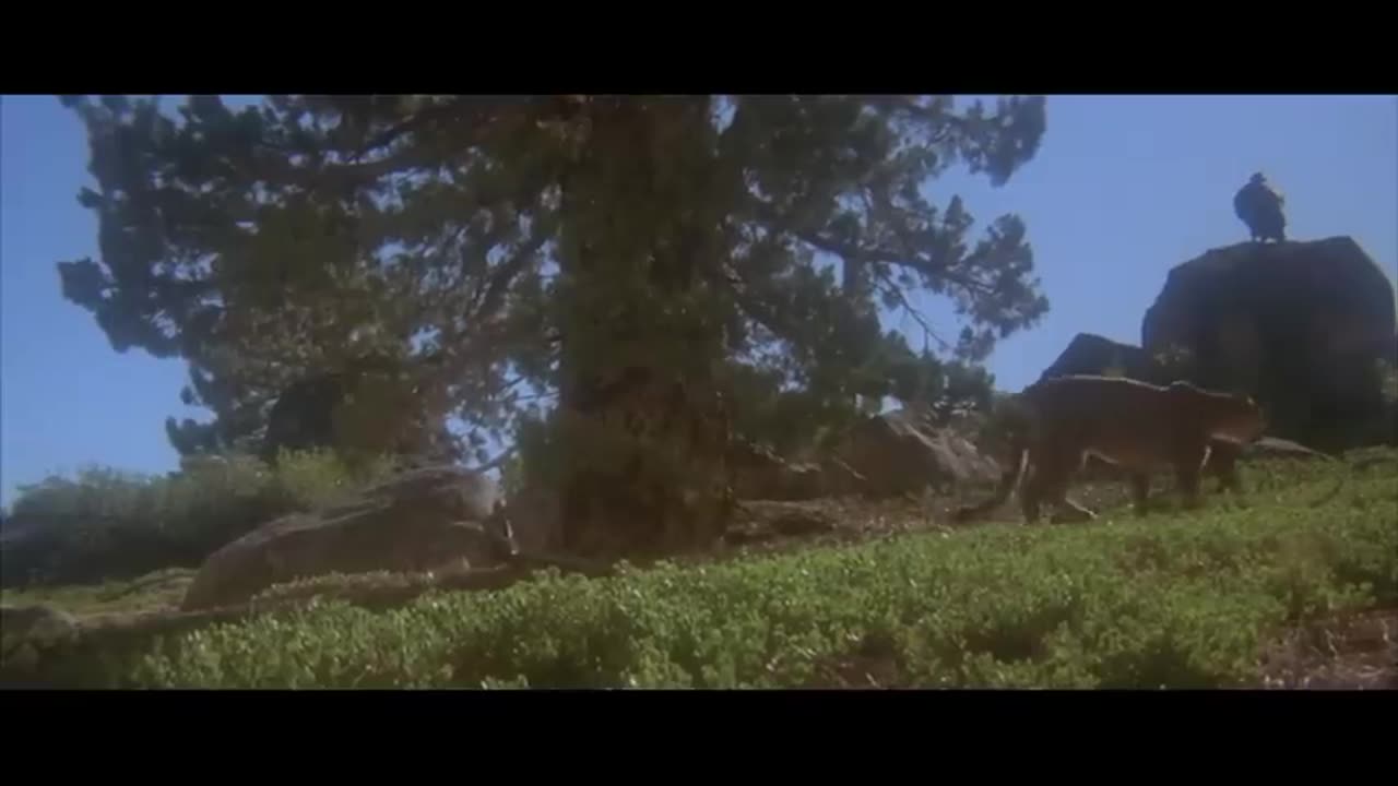 Jeff Sucks