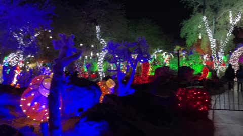 Ethel M Cactus Garden Lights Up the Desert for the Holidays