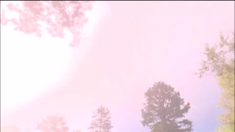 LIGHTNING SLOW MOTION