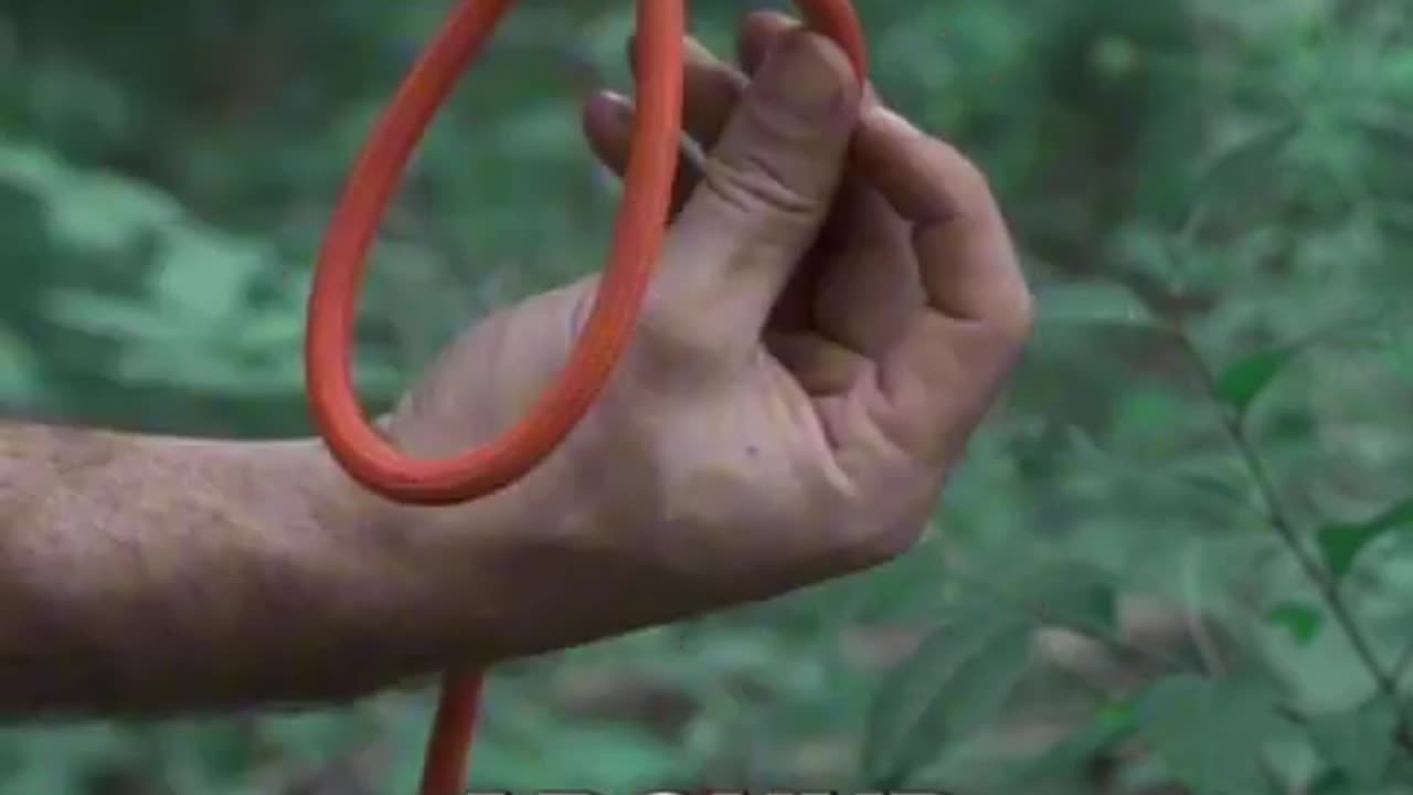 Retrievable rope ladder