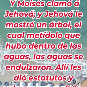 “Las aguas amargas de Mara y la provisión de Dios” Exodo 15:23,24,25.#shortvideo #ytshorts #youtube