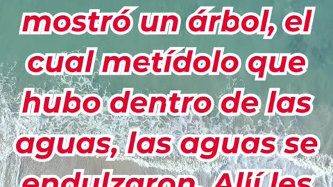 “Las aguas amargas de Mara y la provisión de Dios” Exodo 15:23,24,25.#shortvideo #ytshorts #youtube