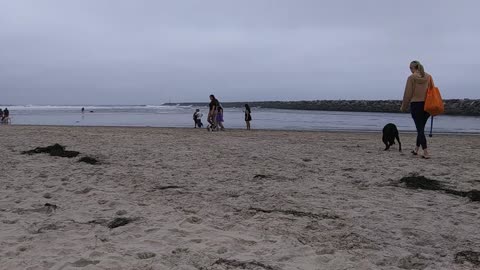 The Captain's View. Ocean Beach - Dog Beach, San Diego, California.