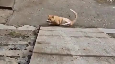 😂 Wheeee... | FunFM