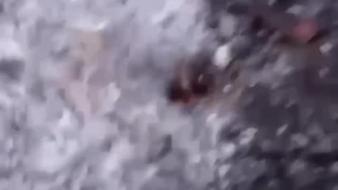 Ukraine war combat/related footage 1/13/26