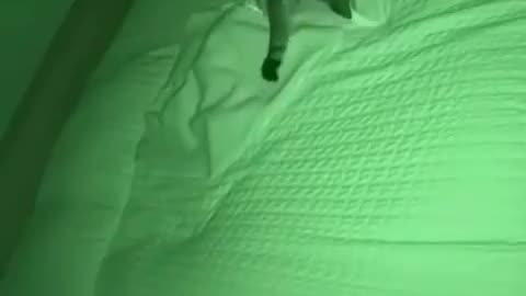 Puss in Boots protecting my newborn from ghosts.