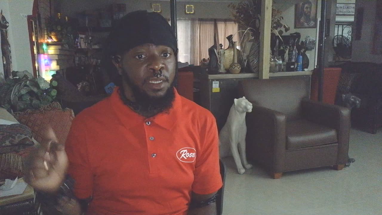 Targeted Individual Daily Documentation V2K and Weightloss