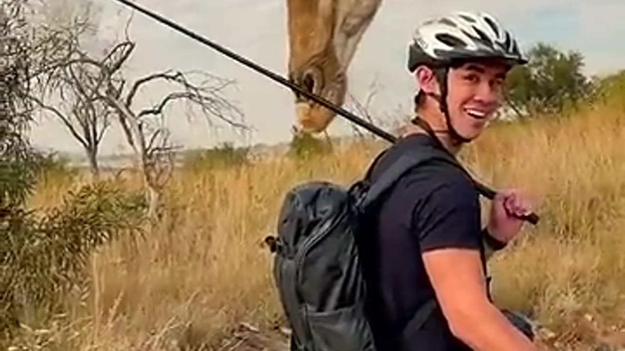 🚲🏃🚲🏃🚲🏃