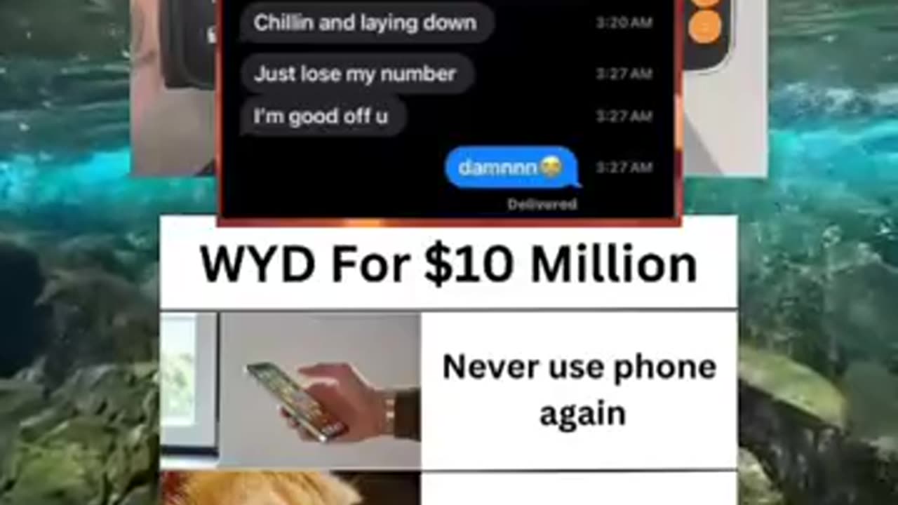 Memes of the day | funny memes | #funny