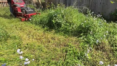 This Abandoned Home Became an H.O.A. Nightmare—No One Knows Who Owns It P2