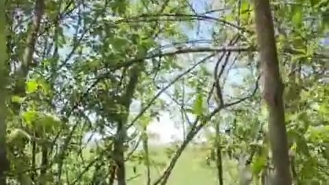 🇺🇦🔫 Ukraine Russia War | Ukrainian Soldier Shoots Down Fiber Optic FPV Drone | RCF