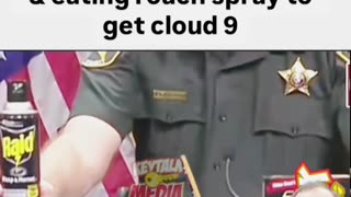 Raid High