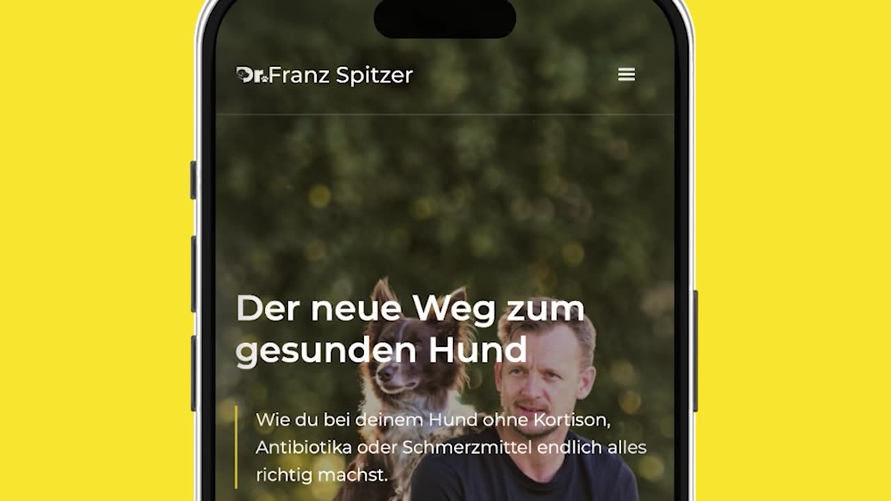 Plastiknapf = Gift für deinen Hund!