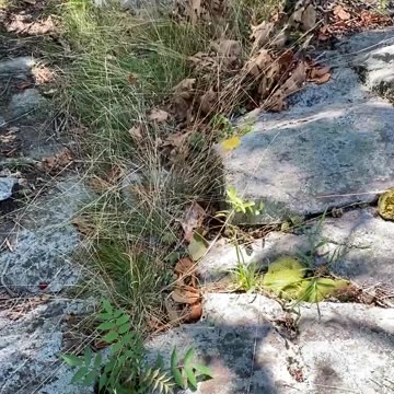 DOES VENTING HELP YOU? AND WHAT DO YOU THINK ON THE MARKERS?